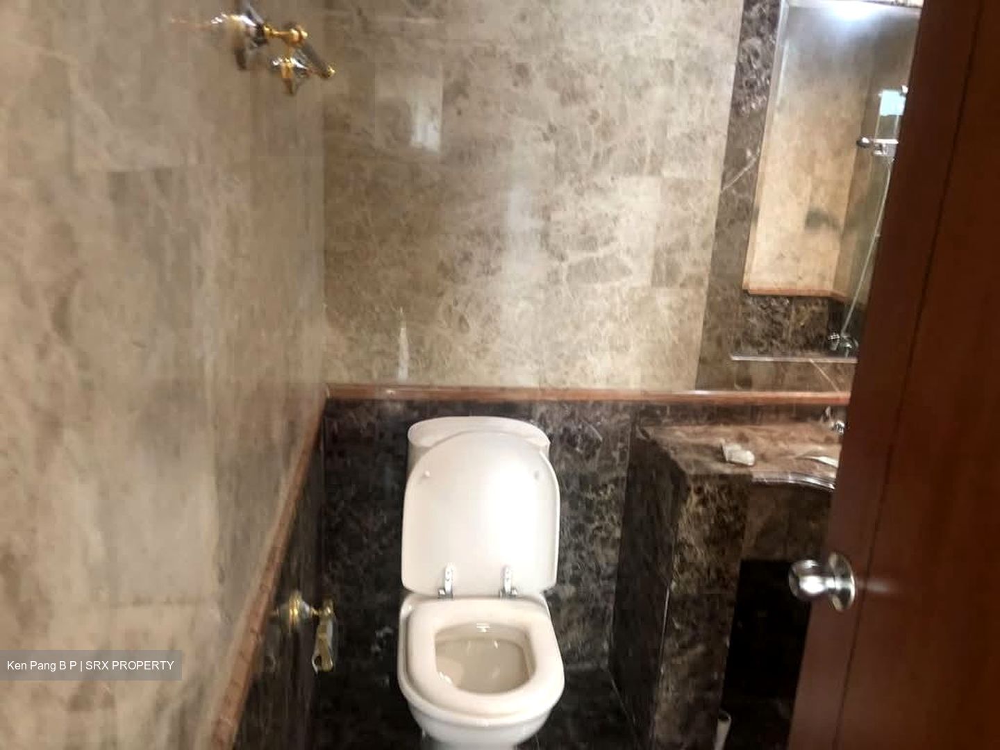 Signature Park (D21), Condominium #587768051